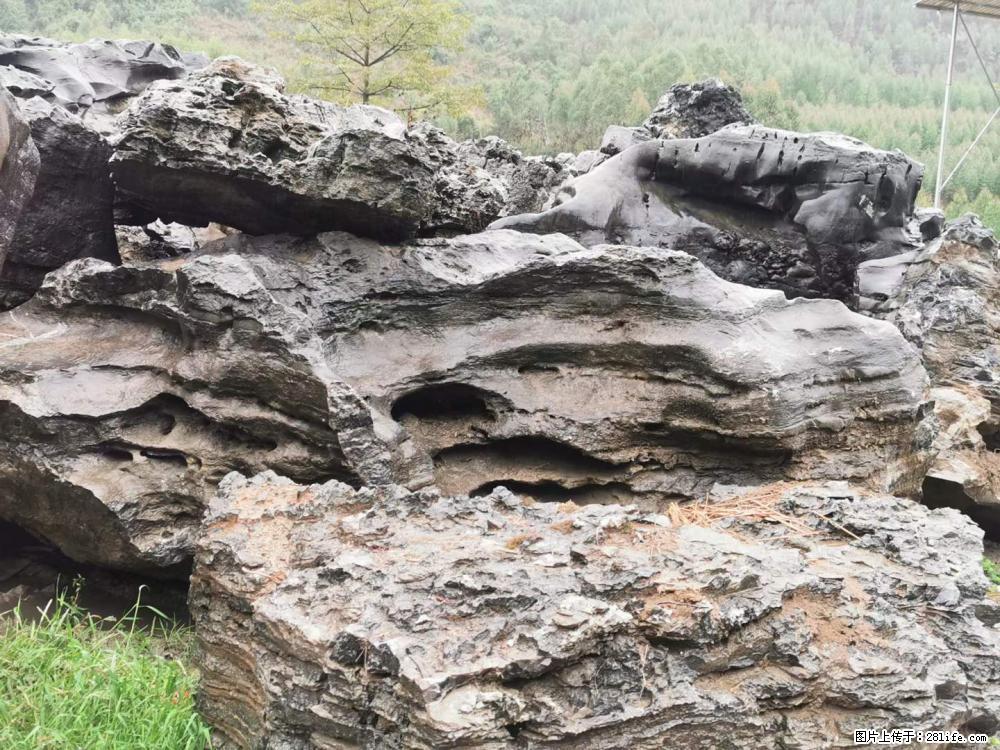 风景石、假山石大量有货，有需要的欢迎联系 - 新手上路 - 文山生活社区 - 文山28生活网 ws.28life.net
