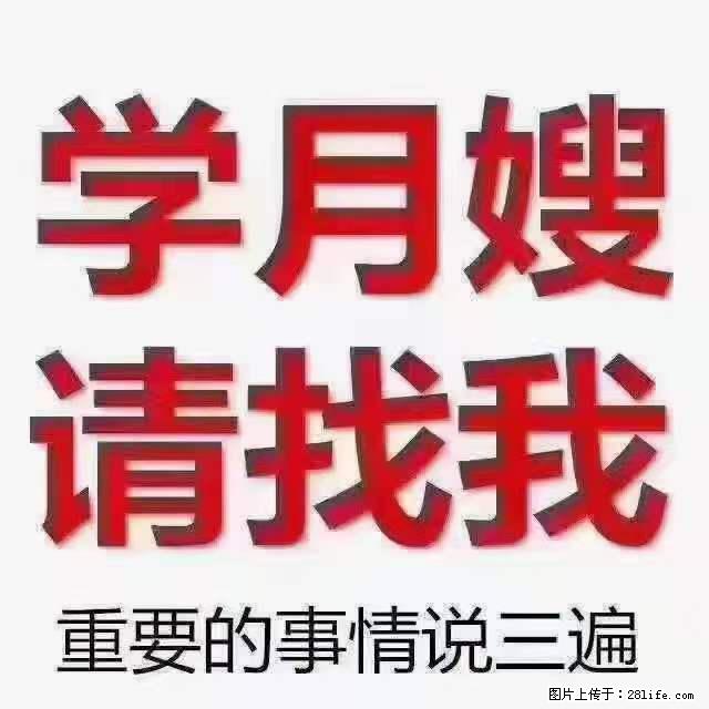为什么要学习月嫂，育婴师？ - 其他广告 - 广告专区 - 文山分类信息 - 文山28生活网 ws.28life.net