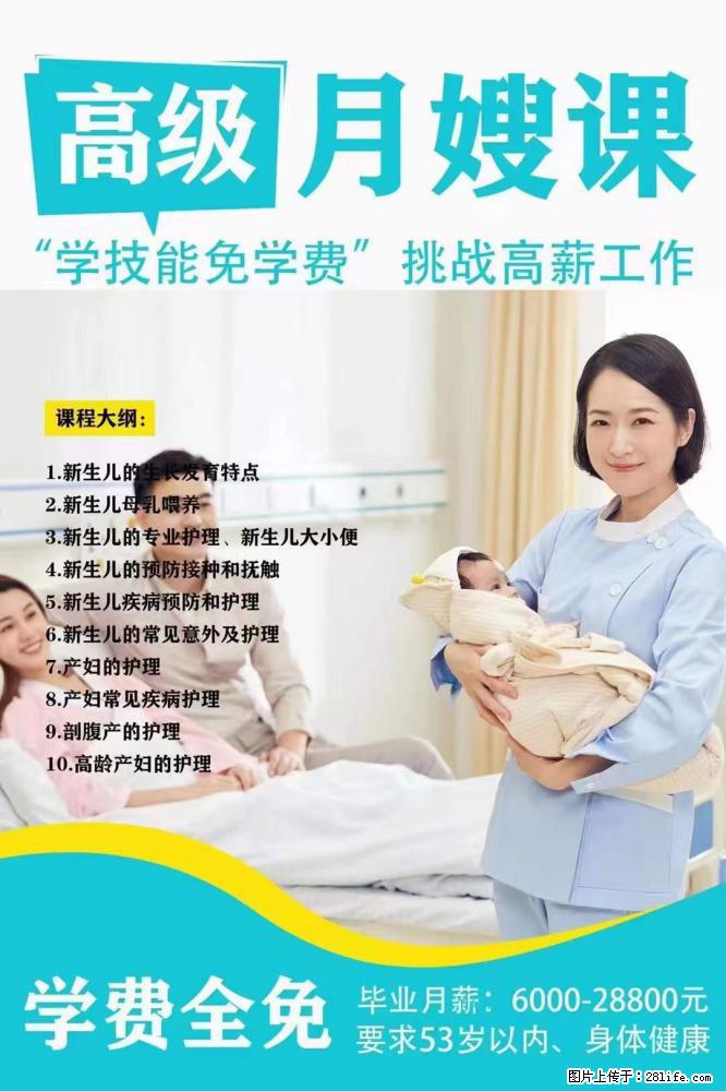为什么要学习月嫂，育婴师？ - 其他广告 - 广告专区 - 文山分类信息 - 文山28生活网 ws.28life.net