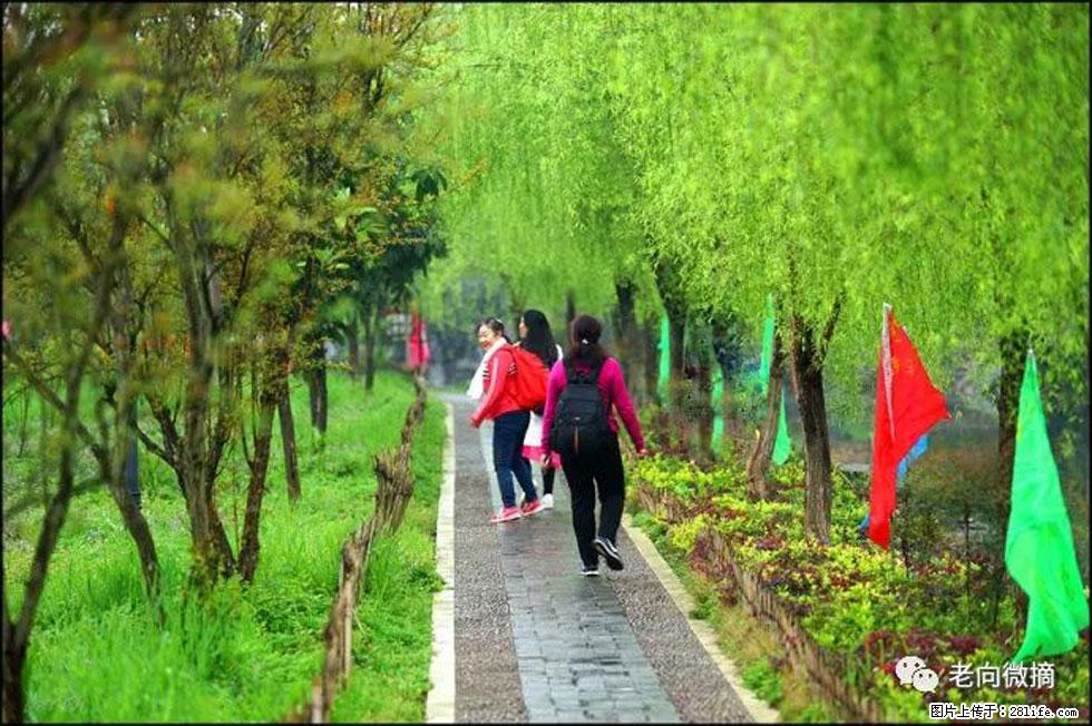 【春天，广西桂林灌阳县向您发出邀请！】江口老街又逢春 - 游山玩水 - 文山生活社区 - 文山28生活网 ws.28life.net