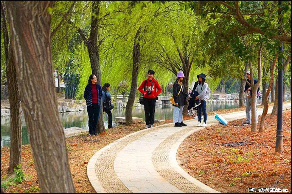 【春天，广西桂林灌阳县向您发出邀请！】江口老街又逢春 - 游山玩水 - 文山生活社区 - 文山28生活网 ws.28life.net