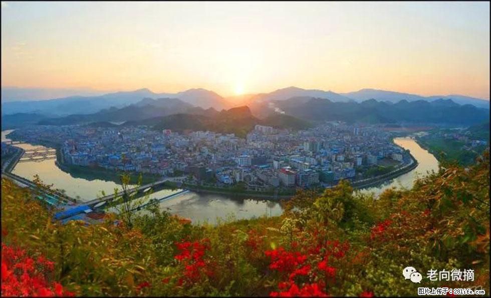 【春天，广西桂林灌阳县向您发出邀请！】登麒麟山，相约映山红 - 游山玩水 - 文山生活社区 - 文山28生活网 ws.28life.net
