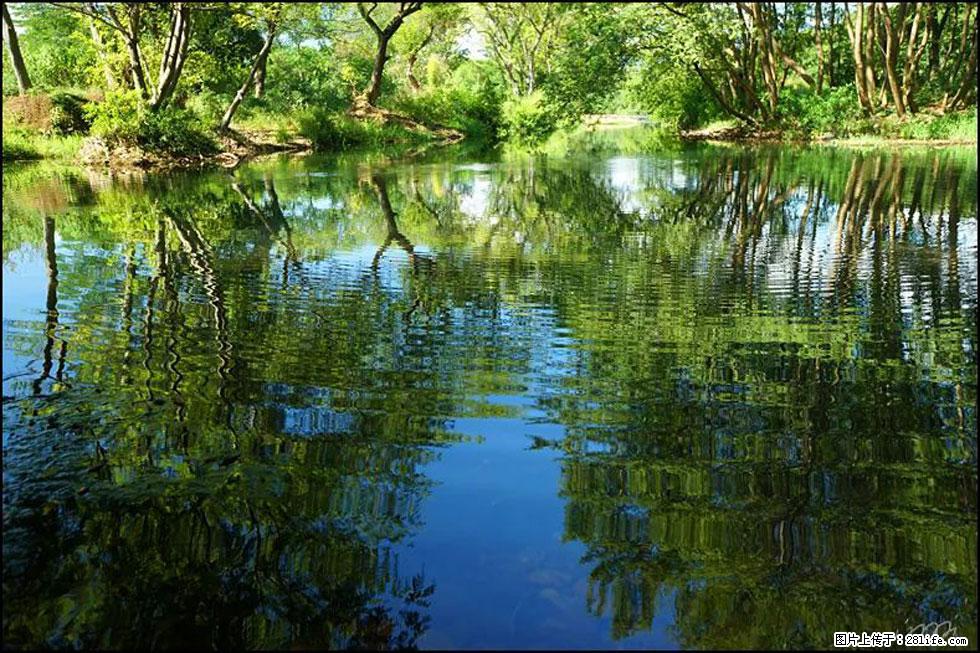 【春天，广西桂林灌阳县向您发出邀请！】熊家寨湿地公园 - 游山玩水 - 文山生活社区 - 文山28生活网 ws.28life.net