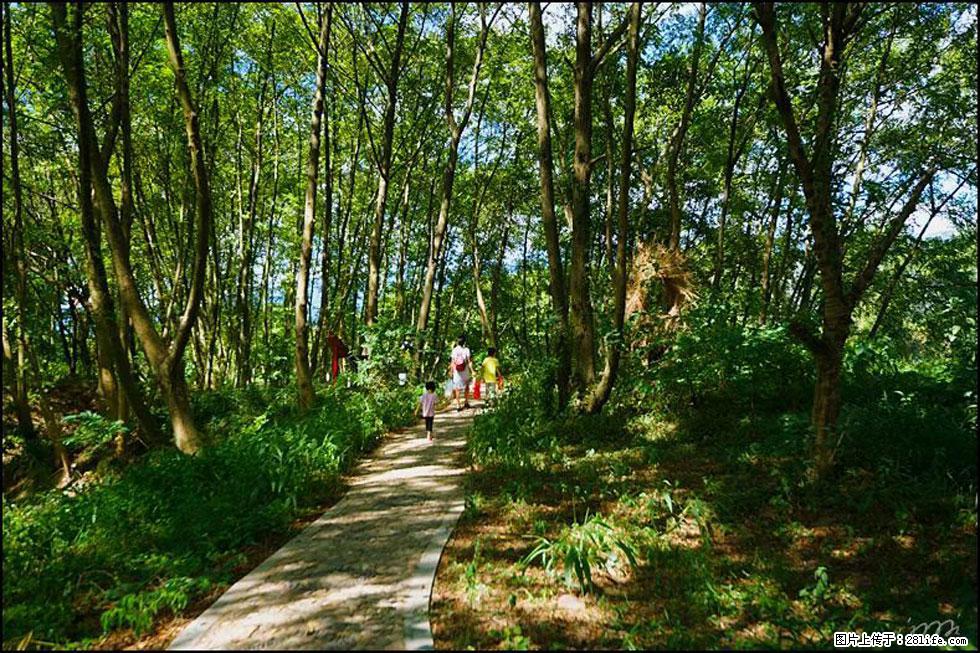 【春天，广西桂林灌阳县向您发出邀请！】熊家寨湿地公园 - 游山玩水 - 文山生活社区 - 文山28生活网 ws.28life.net