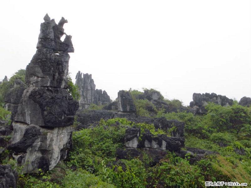 桂林旅游名城景点：灌阳文市石林 - 游山玩水 - 文山生活社区 - 文山28生活网 ws.28life.net