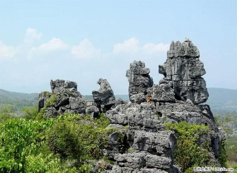 桂林旅游名城景点：灌阳文市石林 - 游山玩水 - 文山生活社区 - 文山28生活网 ws.28life.net