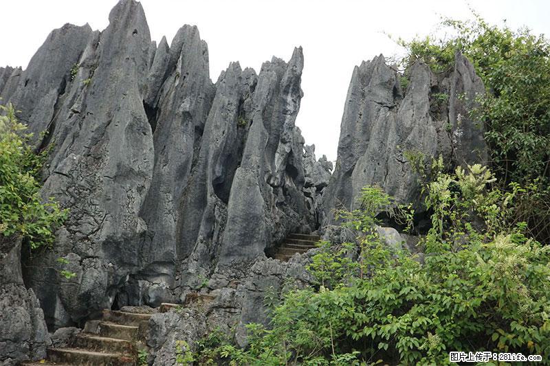 桂林旅游名城景点：灌阳文市石林 - 游山玩水 - 文山生活社区 - 文山28生活网 ws.28life.net