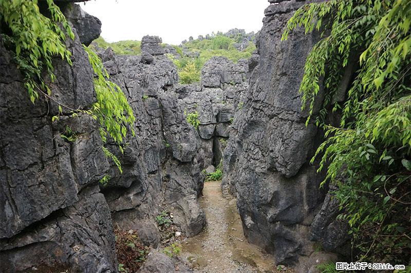 桂林旅游名城景点：灌阳文市石林 - 游山玩水 - 文山生活社区 - 文山28生活网 ws.28life.net