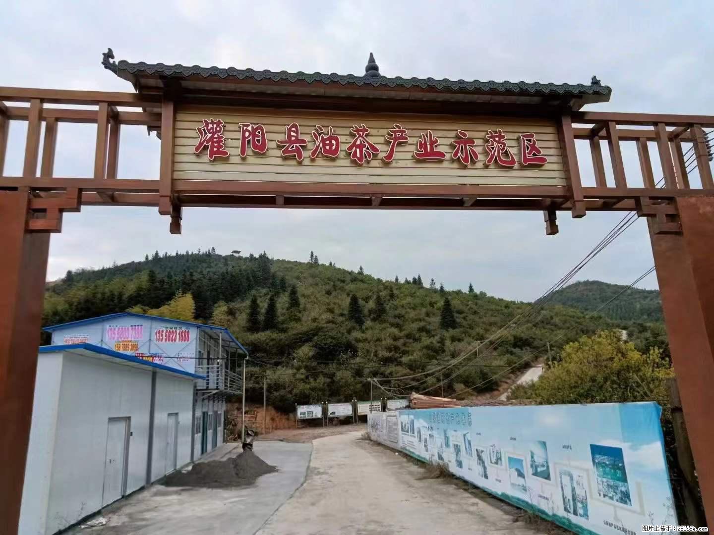 【灌阳县油茶产业示范区】一个有着充实的精神生活的人，对待身外之物自会有一种淡泊的态度 - 美食天地 - 文山生活社区 - 文山28生活网 ws.28life.net