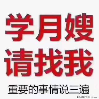 为什么要学习月嫂，育婴师？ - 文山28生活网 ws.28life.net