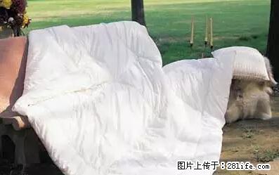 被子有异味？只要这样做，比晒太阳还强100倍！ - 家居生活 - 文山生活社区 - 文山28生活网 ws.28life.net