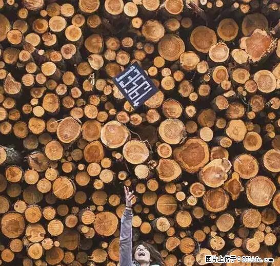 辞掉工作周游世界？现在他们在洗厕所…… - 游山玩水 - 文山生活社区 - 文山28生活网 ws.28life.net