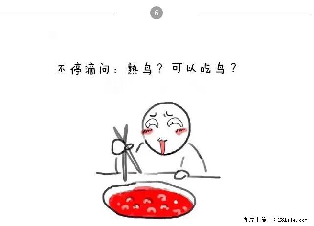千万不要和这9种哈卵一起吃火锅！ - 美食天地 - 文山生活社区 - 文山28生活网 ws.28life.net