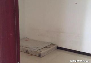 泰康小区 3室2厅2卫 140平方米 年租 - 文山28生活网 ws.28life.net