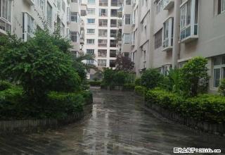 市中心，3室，可居住，可办公，带家具。 - 文山28生活网 ws.28life.net