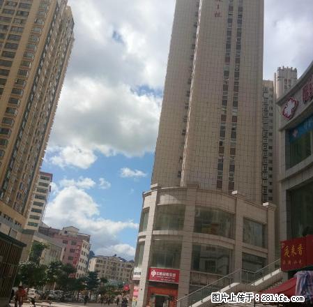 市中心炬隆豪庭3房2厅2卫好房出租+房子装修清秀小区环境好采 - 房屋出租 - 房屋租售 - 文山分类信息 - 文山28生活网 ws.28life.net