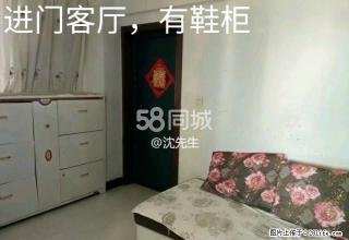 东风路旁七花南楼10楼2室2厅1卫出租、房子装修清秀入住舒适 - 文山28生活网 ws.28life.net