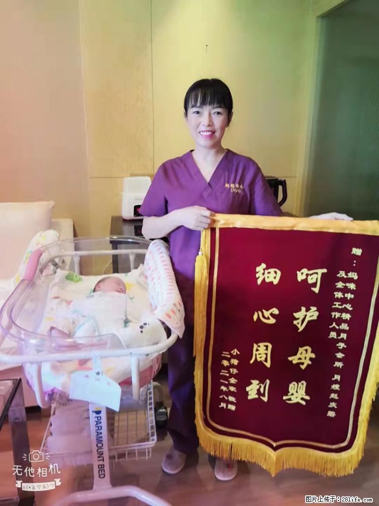 上海高端月子会所招新手月嫂，零基础带教，包吃住 - 职场交流 - 文山生活社区 - 文山28生活网 ws.28life.net