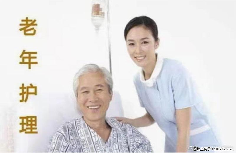 上海国企养老院，星级酒店环境，招聘养老护工 - 职场交流 - 文山生活社区 - 文山28生活网 ws.28life.net