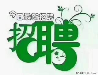 【招聘摄像师】待遇：试用期6000元/月，转正7000元/月+五险一金+餐补+节日福利+奖金 - 文山28生活网 ws.28life.net