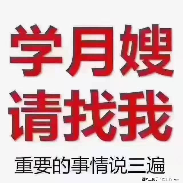 【招聘】月嫂，上海徐汇区 - 职场交流 - 文山生活社区 - 文山28生活网 ws.28life.net