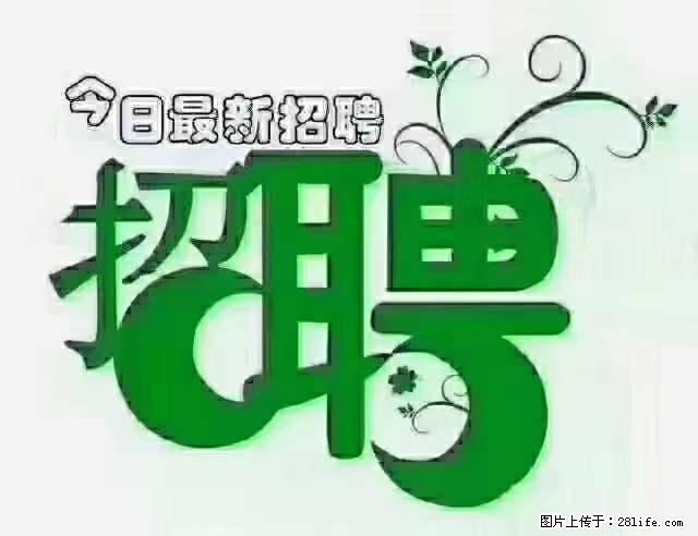 上海青浦区招仓管 - 职场交流 - 文山生活社区 - 文山28生活网 ws.28life.net