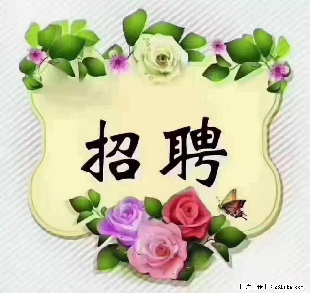 【招聘】住家育儿嫂，上户日期：4月4日，工作地址：上海 黄浦区 - 职场交流 - 文山生活社区 - 文山28生活网 ws.28life.net