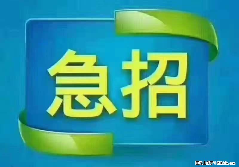 招出纳8000元/月，无证可以，要有相关经验，上海五险一金，包住，包工作餐，做六休一。 - 职场交流 - 文山生活社区 - 文山28生活网 ws.28life.net