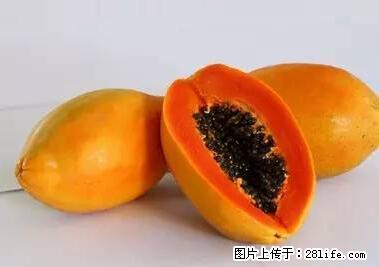 晕车、脚气、牙齿变黄、皮肤粗糙？学会这些三分钟搞定！ - 文山生活资讯 - 文山28生活网 ws.28life.net