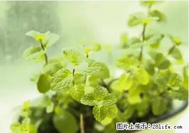 晕车、脚气、牙齿变黄、皮肤粗糙？学会这些三分钟搞定！ - 文山生活资讯 - 文山28生活网 ws.28life.net