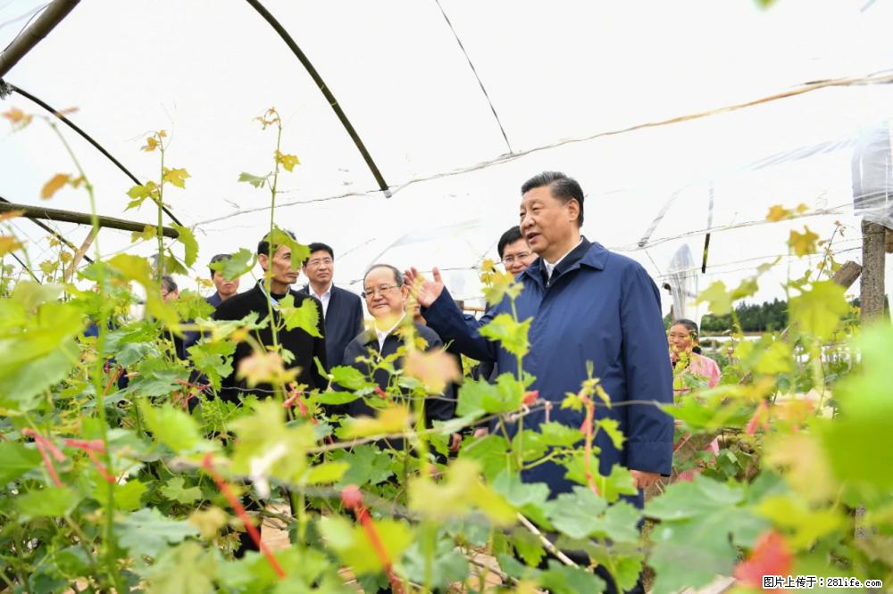 习近平赴广西考察调研 - 文山生活资讯 - 文山28生活网 ws.28life.net