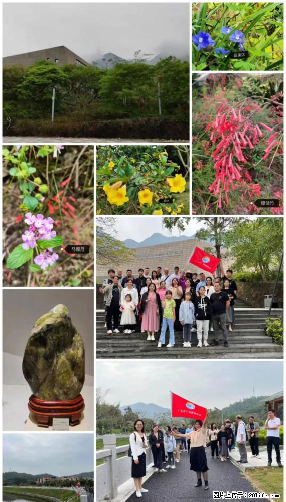 “粤灌文化 美好生活”油茶文化主题活动在广东深圳成功举办 - 文山生活资讯 - 文山28生活网 ws.28life.net