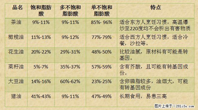 揭秘茶油的5大核心营养成分!被称为人体健康的“守护盾”! - 文山生活资讯 - 文山28生活网 ws.28life.net