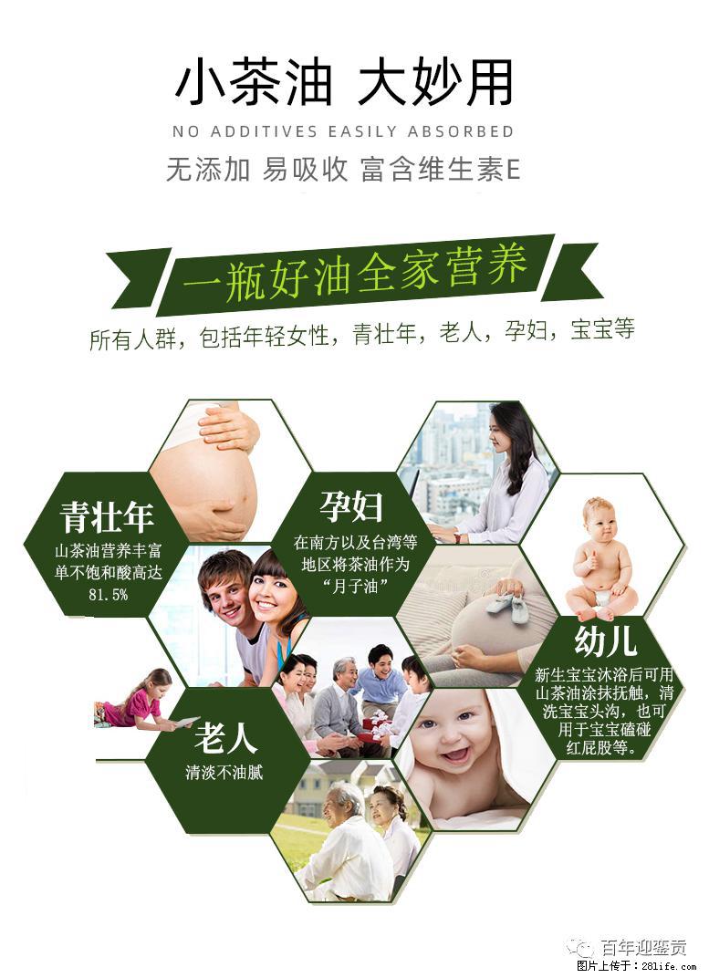 世界没有真相，只有认知，最好的食用油是中国的山茶油！ - 文山生活资讯 - 文山28生活网 ws.28life.net
