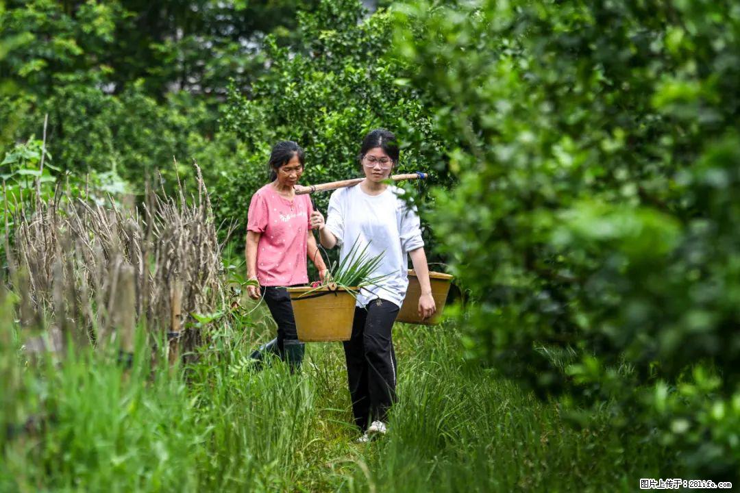 全网追的“扁担女孩”,找了一份暑假工,时薪12元 - 文山生活资讯 - 文山28生活网 ws.28life.net