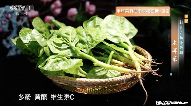 比牛奶补钙还厉害！凉血解毒、稳血糖...这菜冬天必吃，很多人却当草 - 文山生活资讯 - 文山28生活网 ws.28life.net