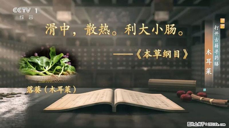 比牛奶补钙还厉害！凉血解毒、稳血糖...这菜冬天必吃，很多人却当草 - 文山生活资讯 - 文山28生活网 ws.28life.net